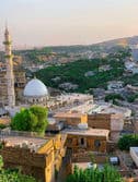 The 7th ILBJH Scientific Congress image 11